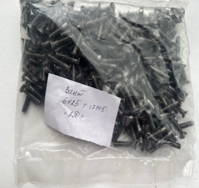 ВИНТ В М6*25 48019 Г17475-80 (арт. НВТ32