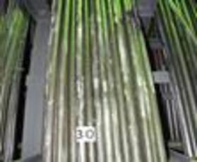 Труба Б-25х4,5х3000 ГОСТ 8734-75 / 30ХГС