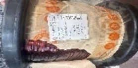 ПРОВОД  ПЭТПД-2-200 ТТ-5-00-14 0,8Х4,75